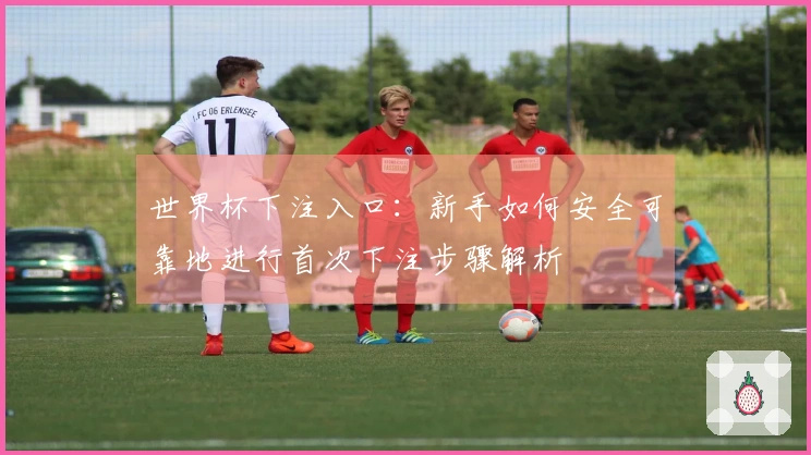 世界杯下注入口:新手如何安全可靠地进行首次下注步骤解析